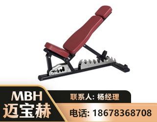 柳州可调哑铃椅